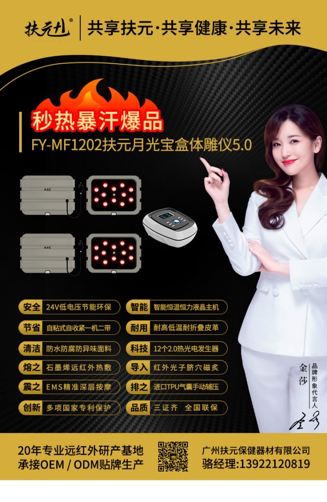 FY-MF1202扶元月光宝盒体雕仪5