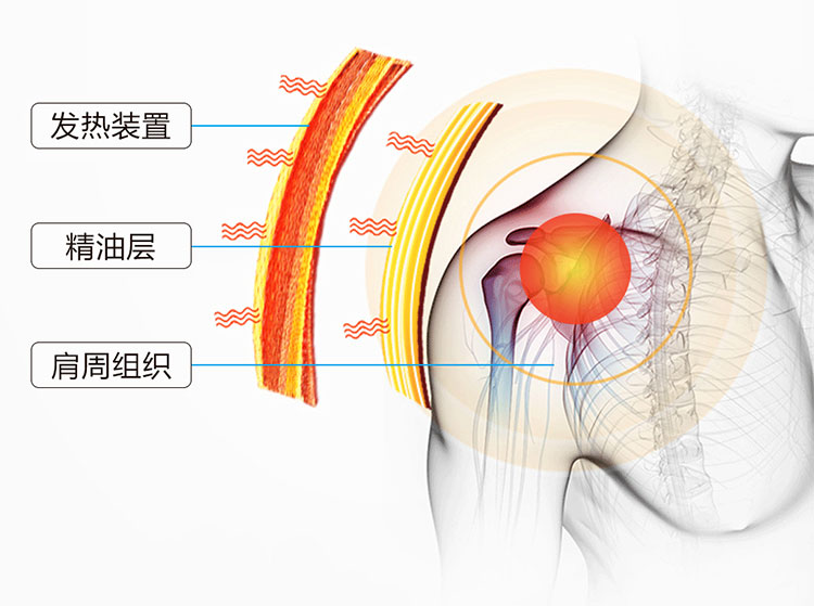 HY-E079扶元肩周宝